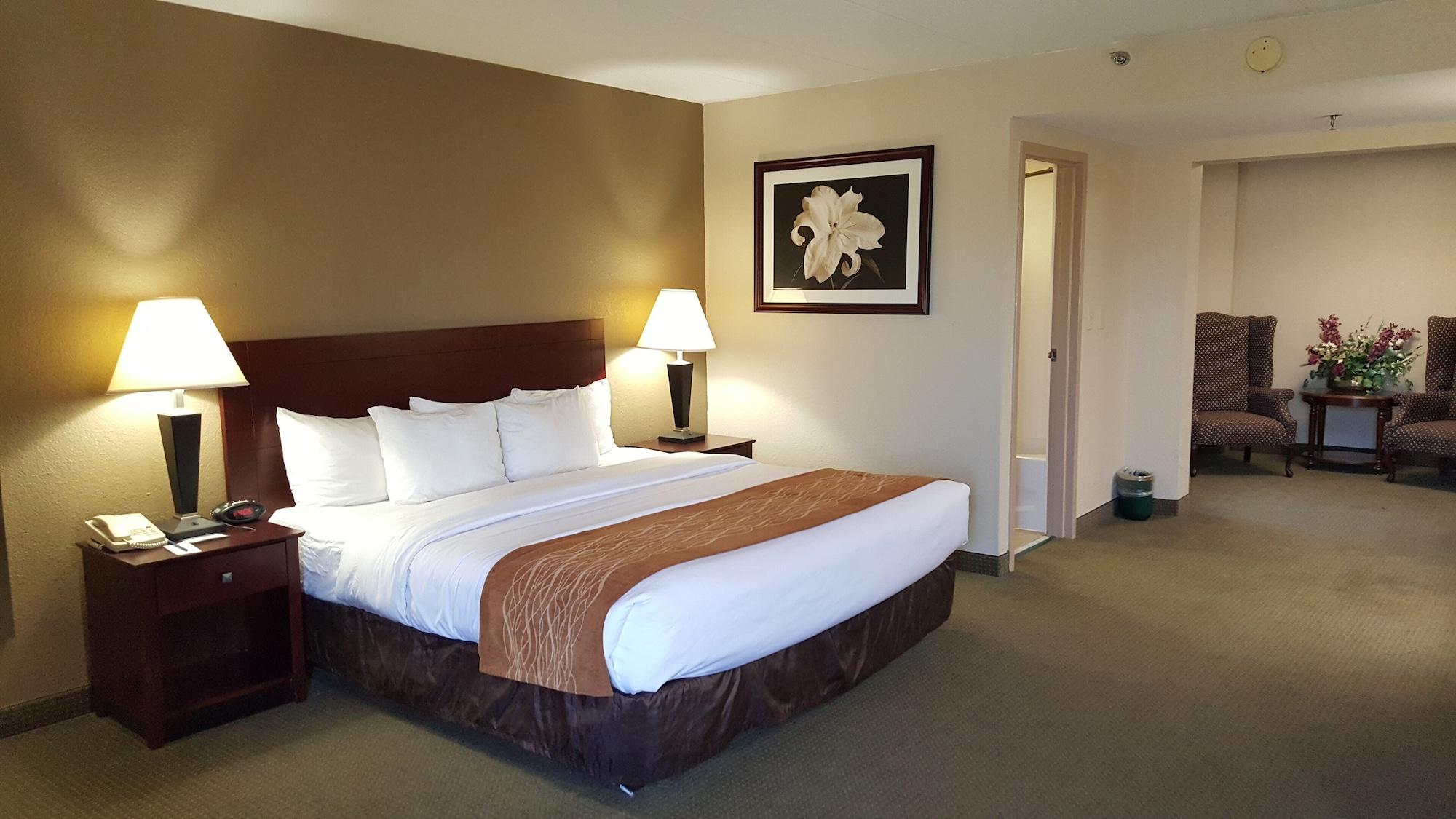Comfort Inn Northeast Mason Εξωτερικό φωτογραφία