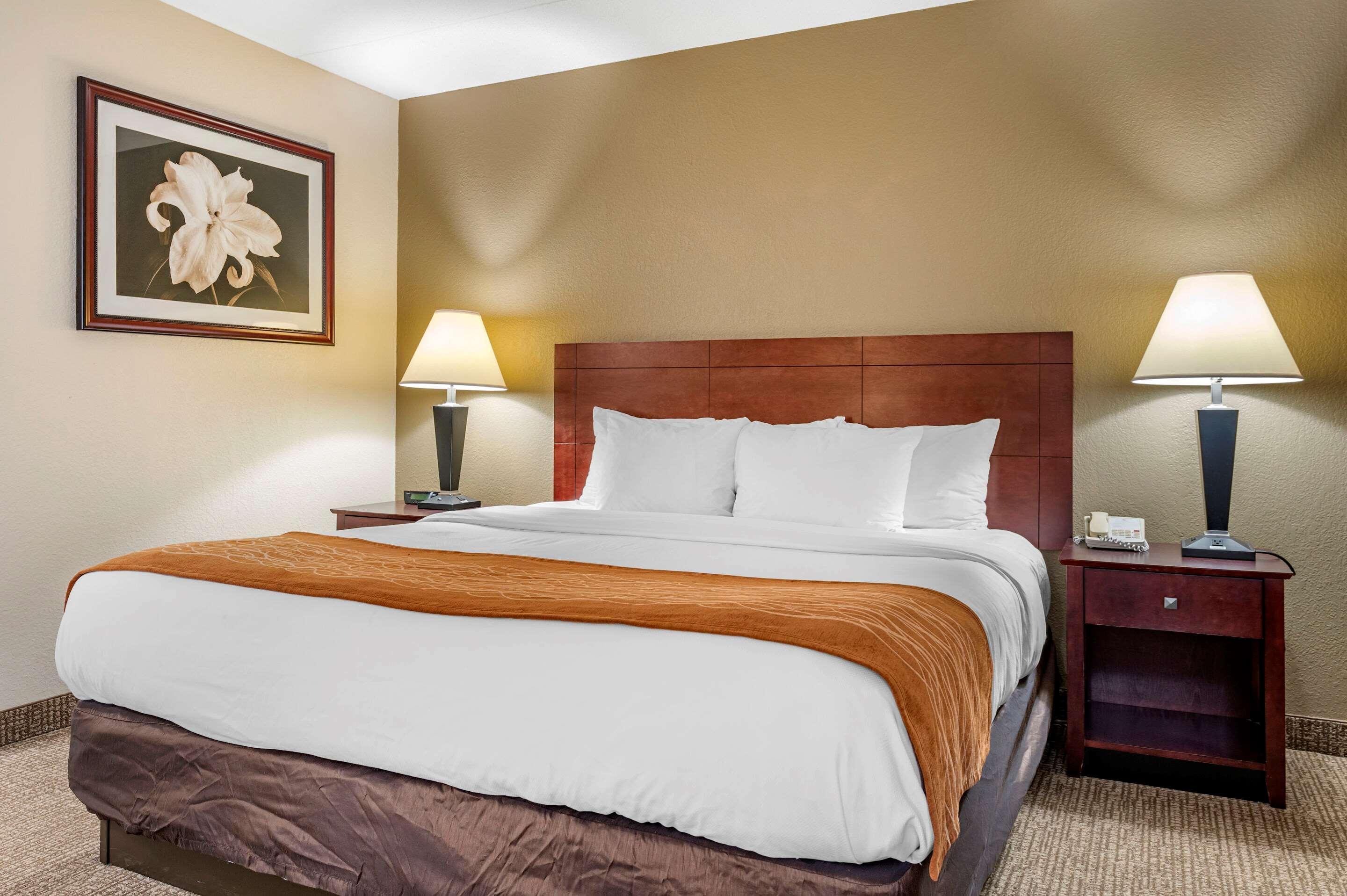 Comfort Inn Northeast Mason Εξωτερικό φωτογραφία